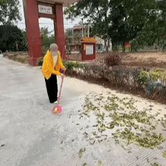 NORDIST PRO® – Ultralett og kraftig løvblåser