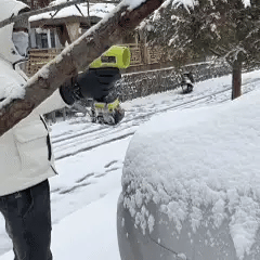 NORDIST PRO® – Ultralett og kraftig løvblåser