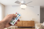 NORDIST 2-i-1 Takvifte med Lampe og Fjernkontroll