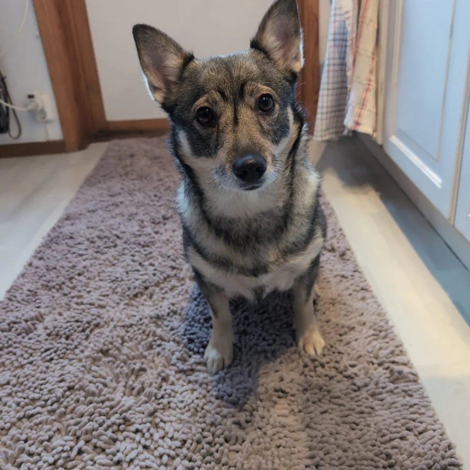 Nordist – Matten som holder hjemmet ditt rent