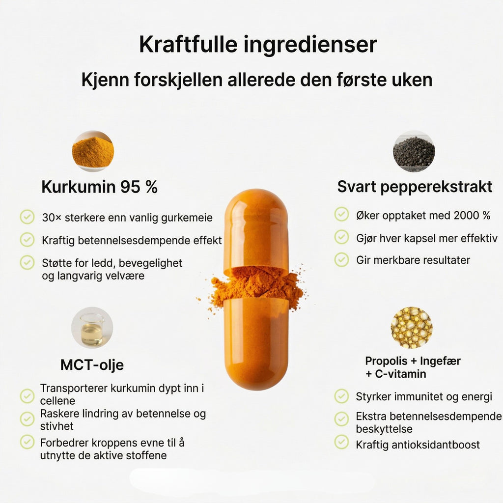 Nordist - Gurkemeie Curcumin 1000 mg