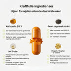 Nordist - Gurkemeie Curcumin 1000 mg