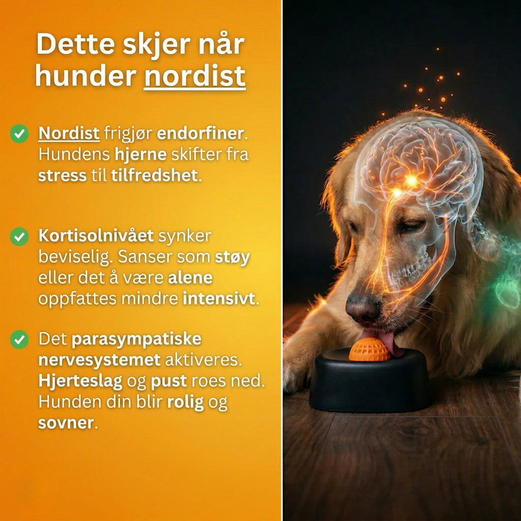 Nordist™ Slikkeball - Den beroligende leken som faktisk fungerer