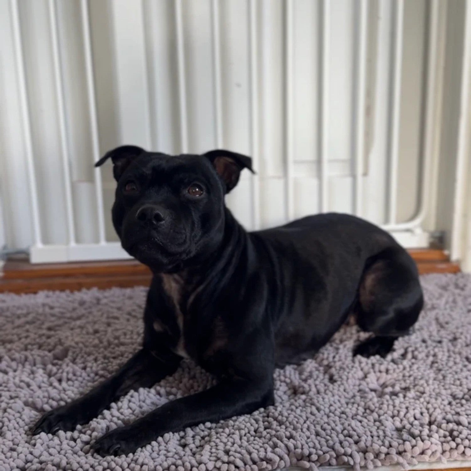 Nordist – Matten som holder hjemmet ditt rent