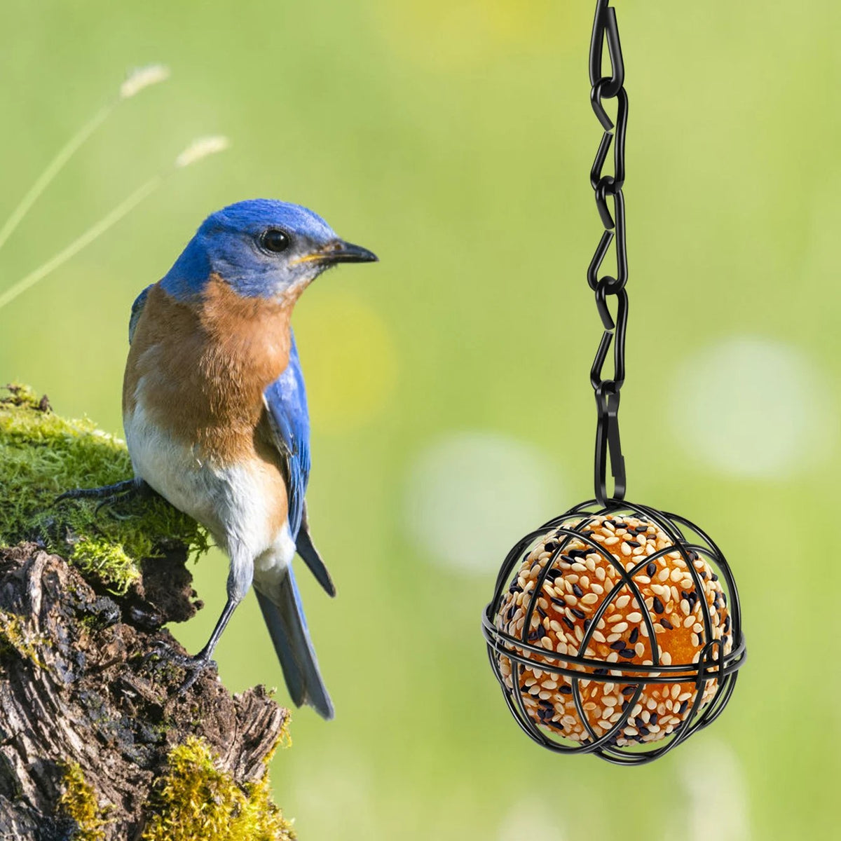Meisebolleholder med meisebolle hengende i hagen