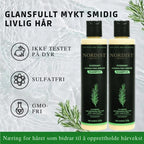 Økologisk rosmarinsjampo for hårvekst
