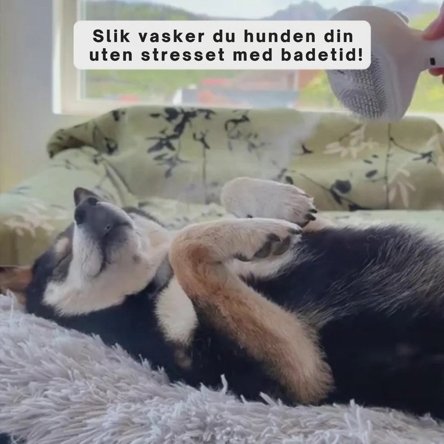 Nordist Pro | Profesjonell stellebørste for kjæledyr