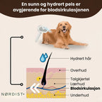 Nordist Pro | Profesjonell stellebørste for kjæledyr
