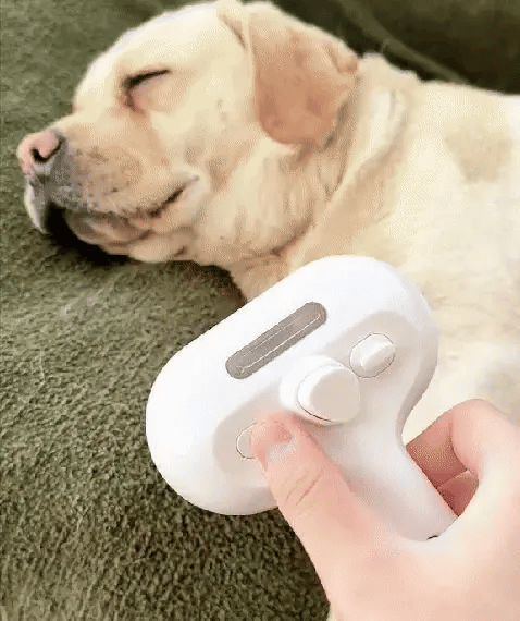 Nordist Pro | Profesjonell stellebørste for kjæledyr