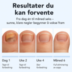 6-måneders resultattidslinje