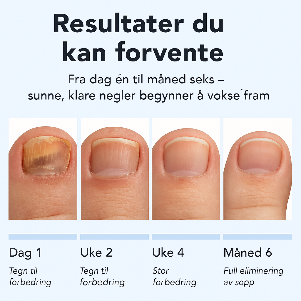 6-måneders resultattidslinje
