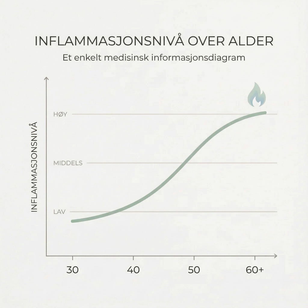 Nordist - Gurkemeie Curcumin 1000 mg